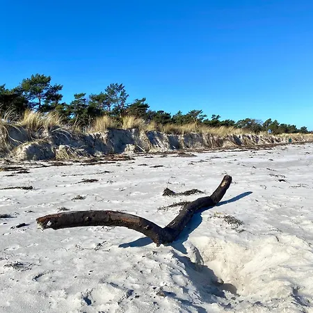 Komfortables Reetdachferienhaus Hasel 1