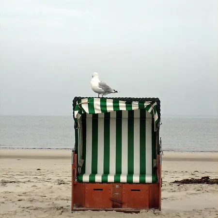 Komfortables Reetdachferienhaus Hasel 1 בית נופש